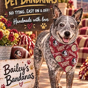 May include: A dog with a speckled grey and black coat wears a maroon pet bandana featuring the Florida State Seminoles logo and text. The bandana is displayed near a wooden sign that reads SNAP-ON PET BANDANAS, NO TYING. EASY ON & OFF!