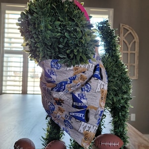 Kentucky Wildcats Dog Bandana Go Big Blue University of Kentucky KY Cat Pet Bandanna College Football Scarf