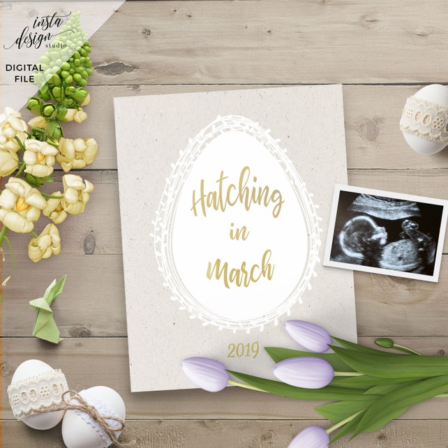 customized digital easter spring social media pregnancy baby spring baby announcements