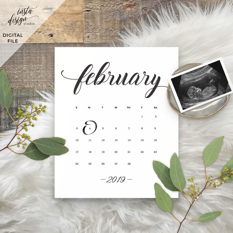 Download Custom Digital Social Media Pregnancy Baby Announcement Due Date Calendar Social Media Facebook Instagram Flat Lay Announcement Announcements Paper Party Supplies Kromasol Com