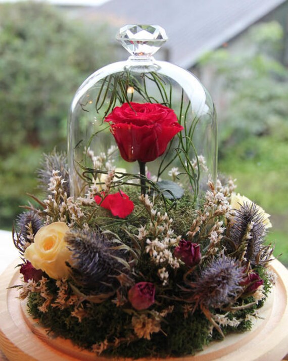 Beauty And The Beast Rose Music Box 2025