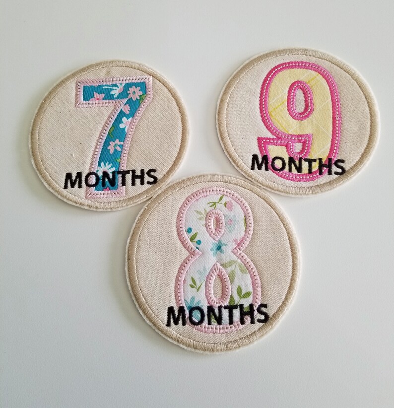112 Months Milestone Baby Girl Patches Embroidered Patches Etsy