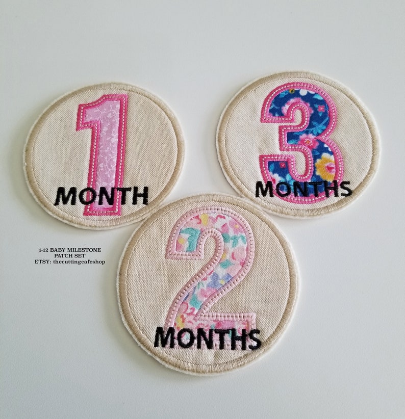 112 Months Milestone Baby Girl Patches Embroidered Patches Etsy