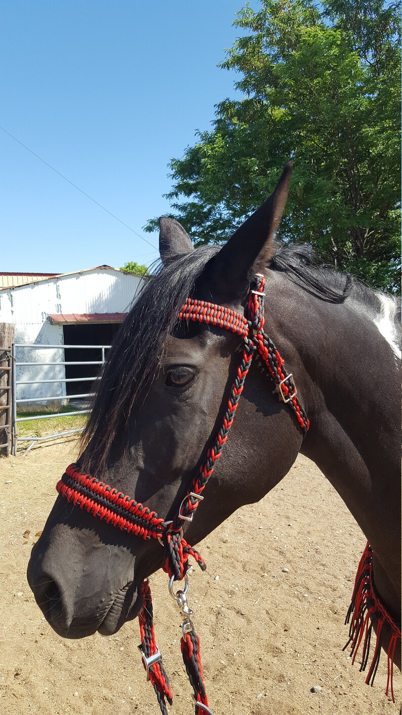 Paracord horse tack bitless bridle horse tack paracord Etsy
