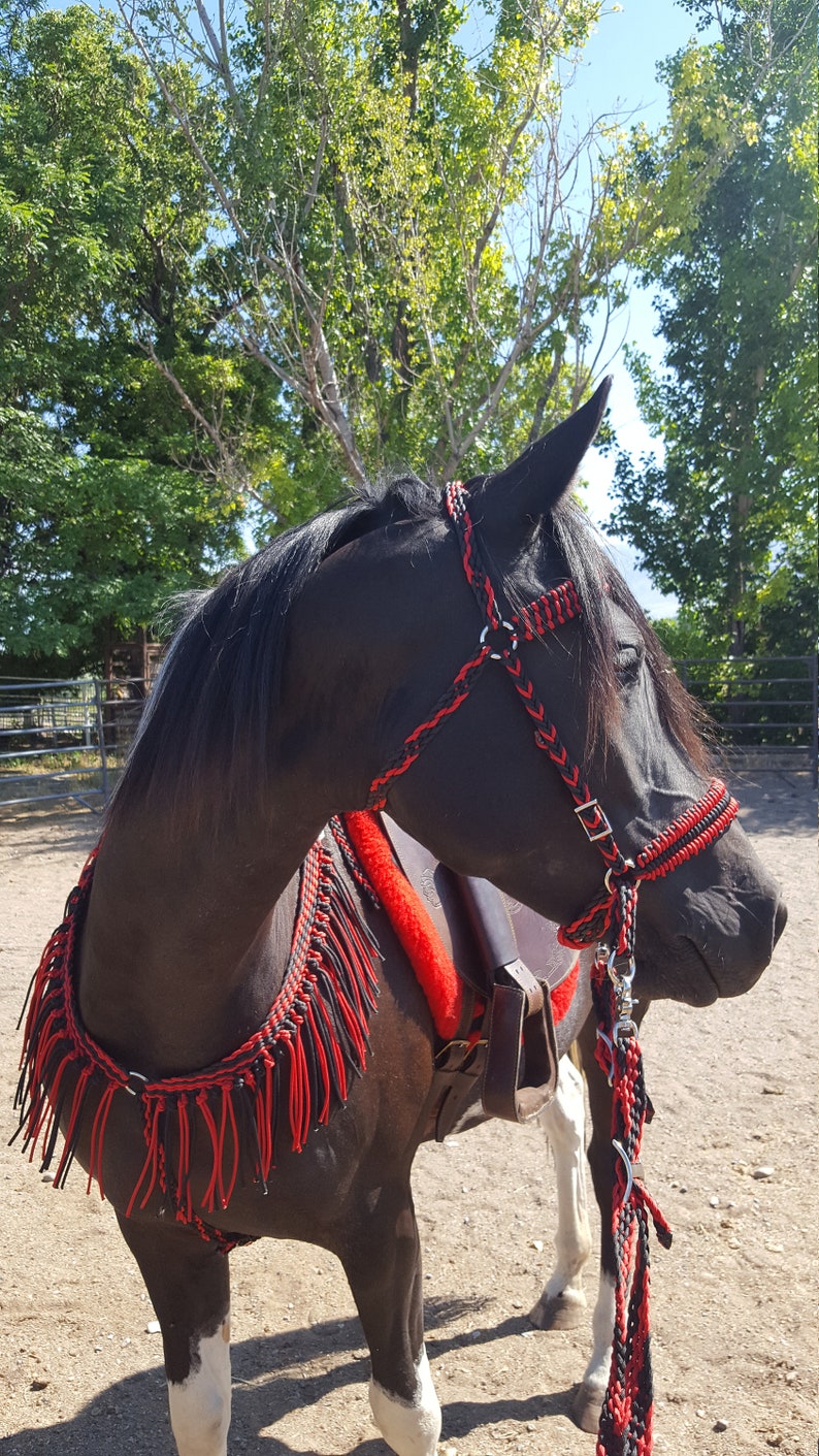 Paracord horse tack bitless bridle horse tack paracord Etsy