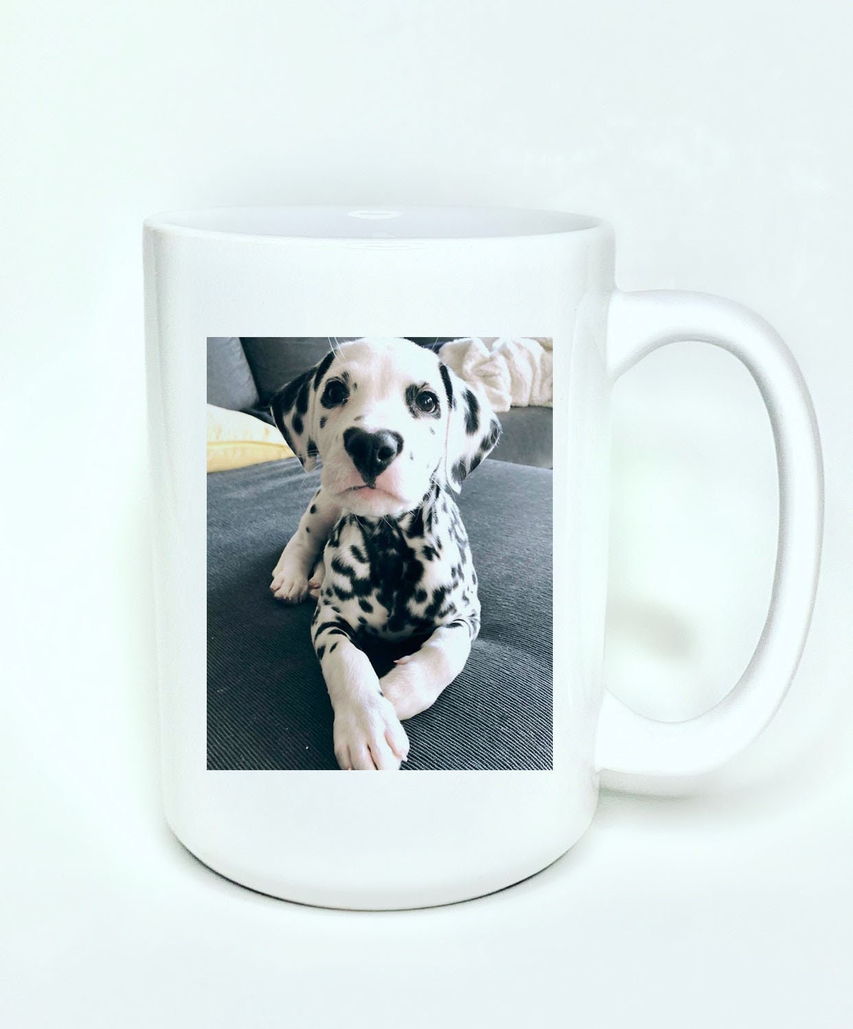 Personalized dog and store cat mug