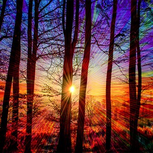 Puede incluir: &Aacute;rboles en silueta se alzan altos contra un cielo de puesta de sol vibrante. Los rayos del sol estallan a trav&eacute;s de las ramas, creando una escena colorida y dram&aacute;tica.