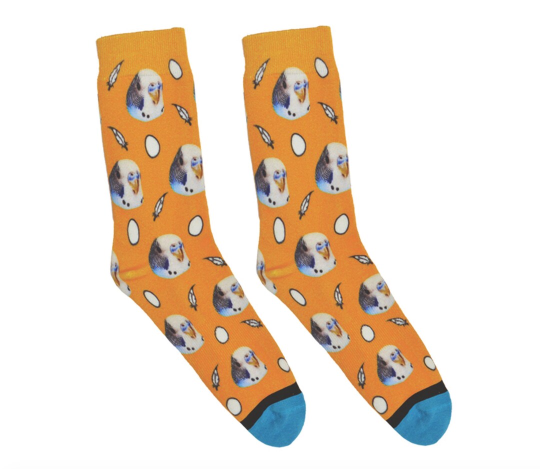 Divvyup Socks Custom Bird Socks Put Your Bird on Socks Etsy