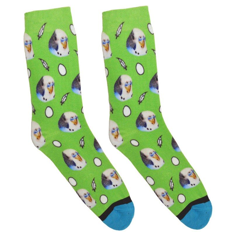 Divvyup Socks Custom Bird Socks Put Your Bird on Socks Etsy UK