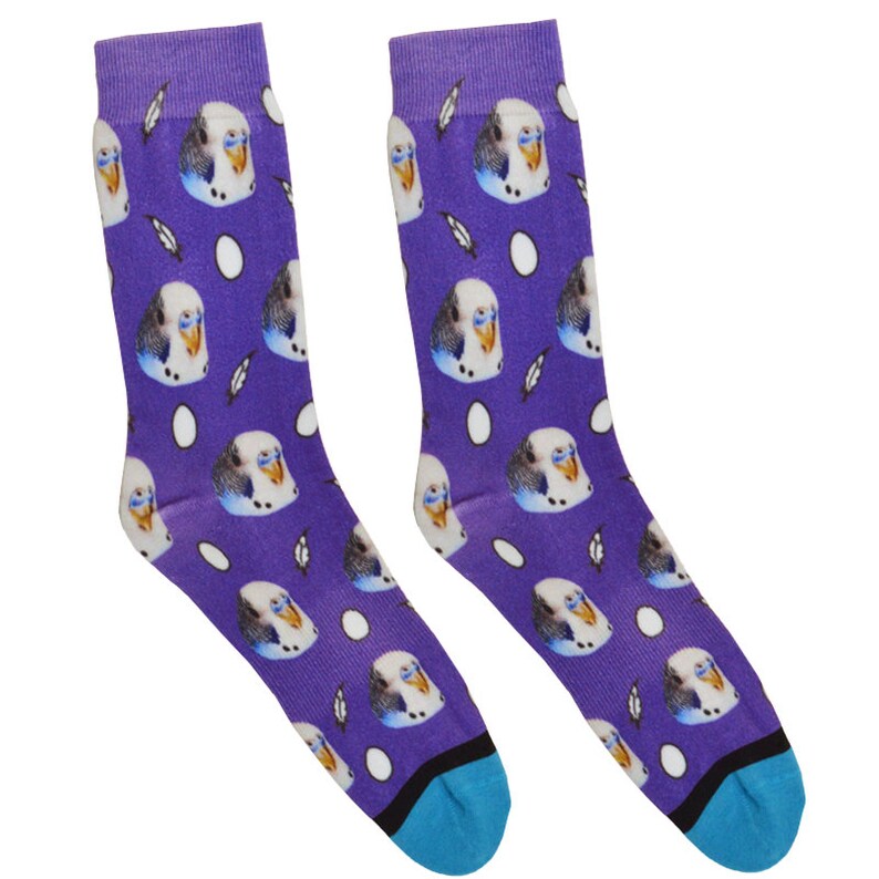 Divvyup Socks Custom Bird Socks Put Your Bird on Socks Etsy UK