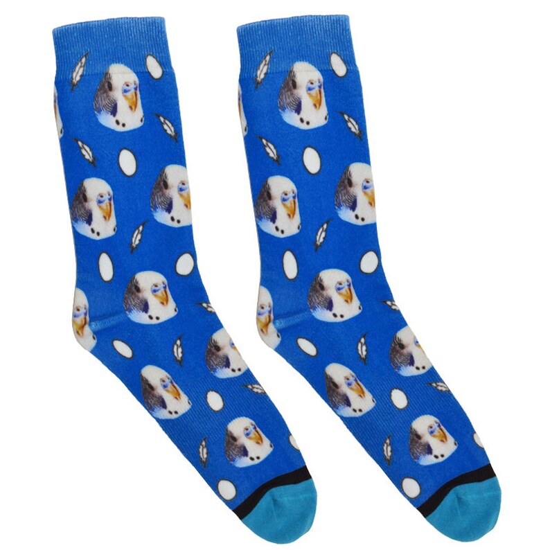 DivvyUp Socks Custom Bird Socks Put Your Bird On Socks Etsy