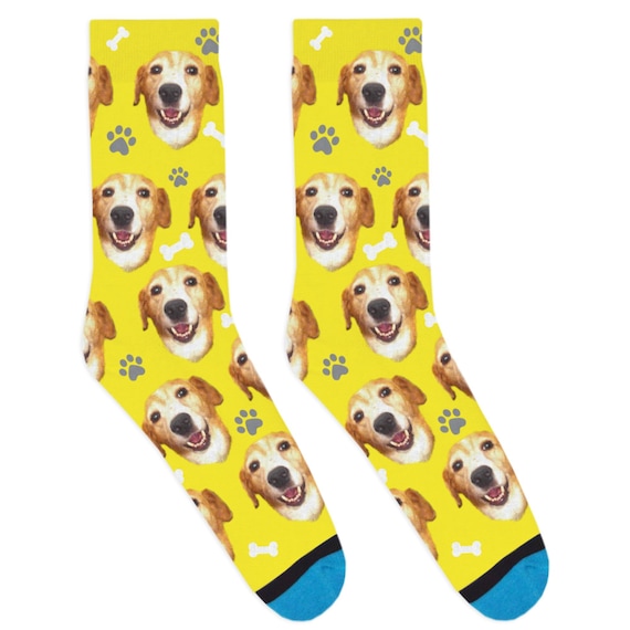 Divvyup Socks Custom Dog Socks Put Your Dog on a Sock 