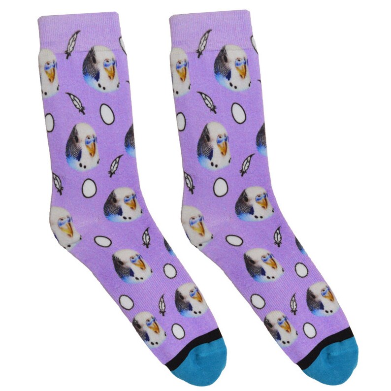 DivvyUp Socks Custom Bird Socks Put Your Bird On Socks Etsy