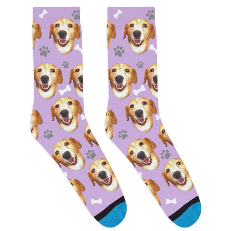 Divvyup Socks Custom Dog Socks Put Your Dog on a Sock Etsy Canada