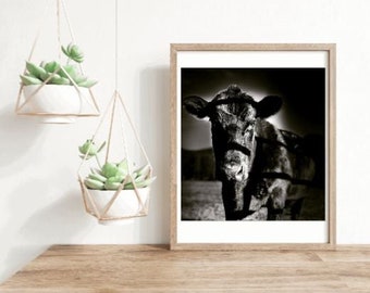 Cow Picture, Cow Print, Farm Animal Print, Farm Animal, Cow Wall Art, Cow Decor, Cow Art