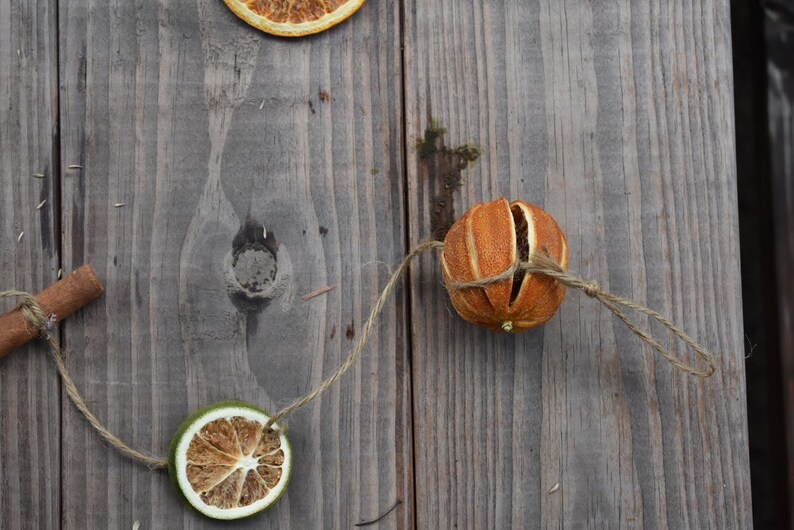 Dried Citrus Garland Etsy