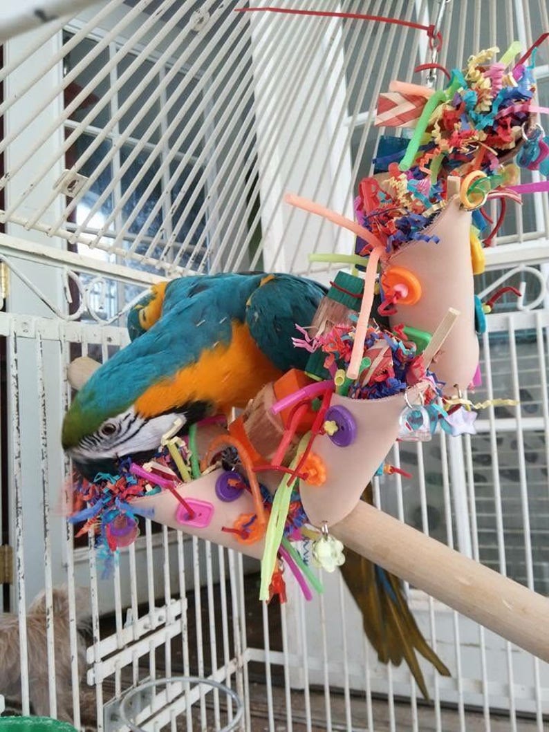 Foraging Fiesta parrot toy