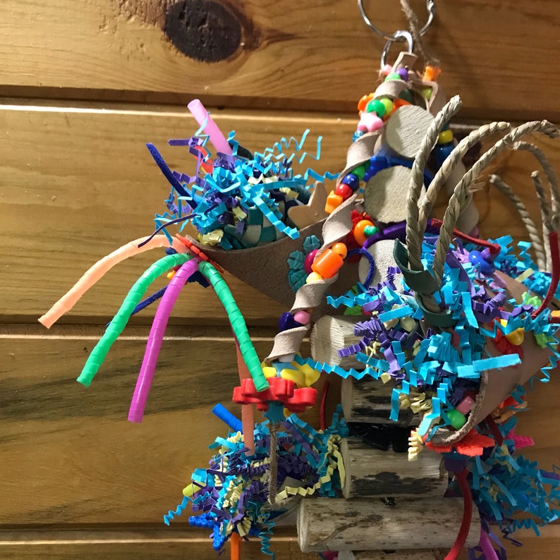 Foraging Fiesta parrot toy