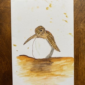 Lindo cartão comemorativo em aquarela {em branco} feito pelo artista de 8 anos: Baby Turtle