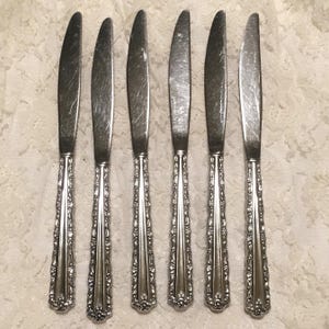 Vintage Oneida Cherie Pattern, Deluxe Stainless Dinner Knives, Set of 6, Elegant Floral Flatware