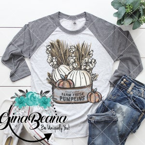Vintage Fall Wheat Raglan Tshirt, Farm Fresh Pumpkins Tin Tee, Classic Fall Long Sleeve, GinaBeana
