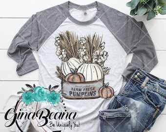 Vintage höstvete raglan t-shirt, Farm Fresh Pumpkins Tin T-shirt, klassisk höstlångärmad, GinaBeana