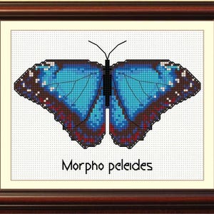 May include: A cross-stitch embroidery of a Morpho peleides butterfly with blue wings and black and red accents. The butterfly is framed in a dark wood frame.