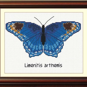 White Admiral butterfly cross stitch pattern BOGO free, collection of 12 butterflies, PDF pattern