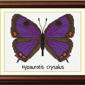 Purple butterfly cross stitch pattern BOGO free, collection of 12 butterflies, Colorado Hairstreak