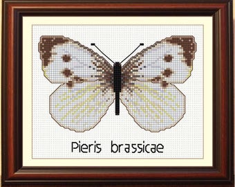 White butterfly BOGO free cross stitch pattern, collection of 12 butterflies, Cabbage Butterfly PDF pattern