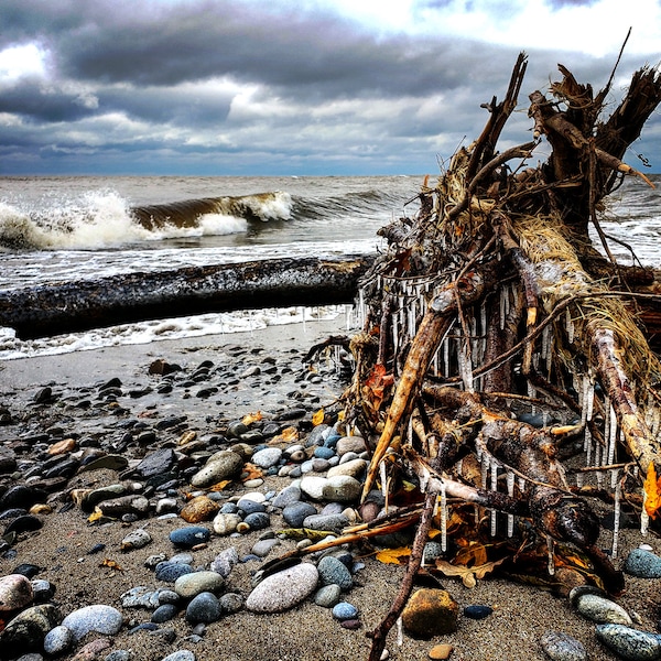 Icy Driftwood on a Rocky Beach of Lake Erie color photo print | frozen cold great lake cloudy autumn fall winter wood ice icicles waves rock