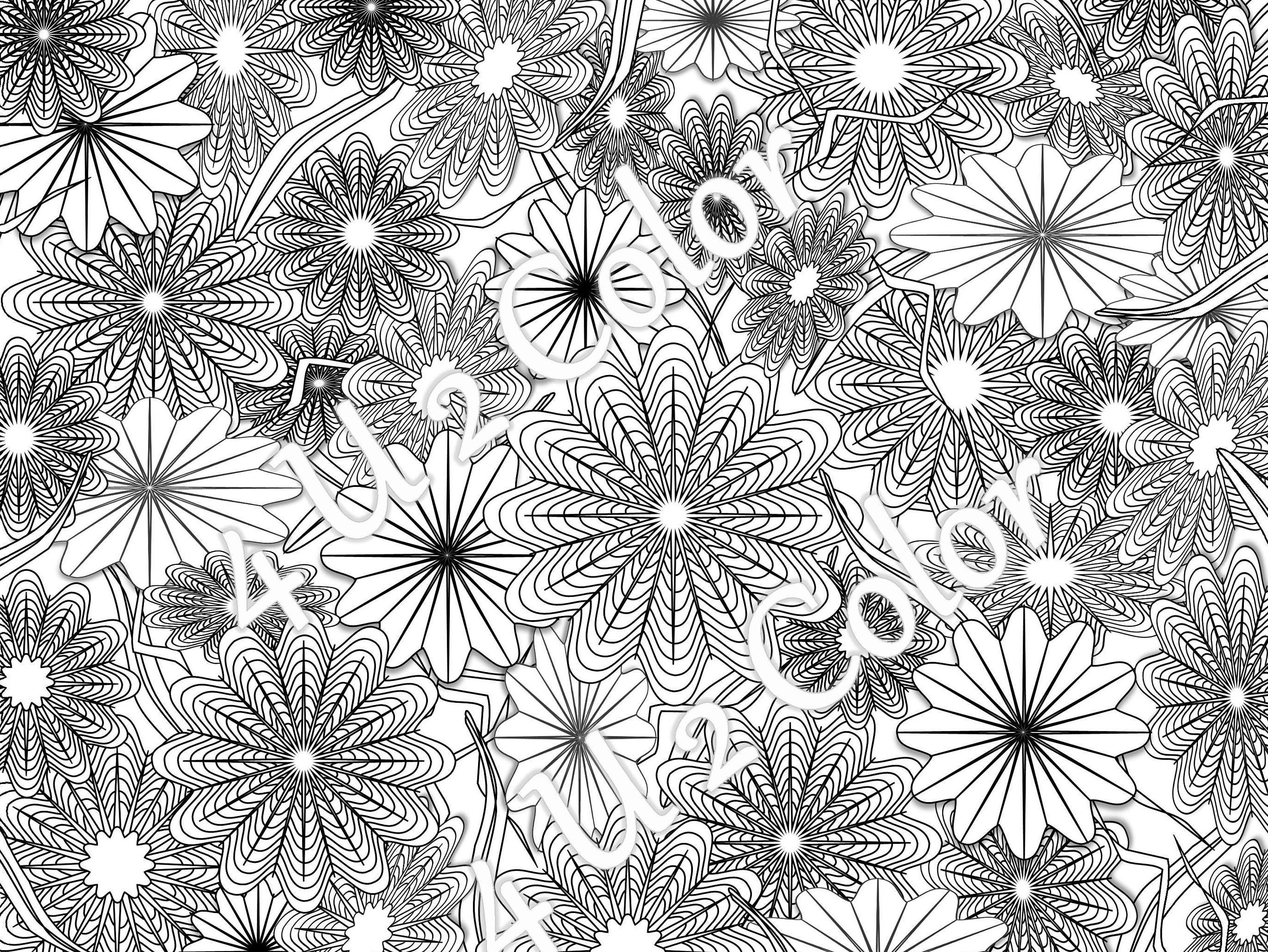 star flower garden 1 coloring page star flower garden etsy