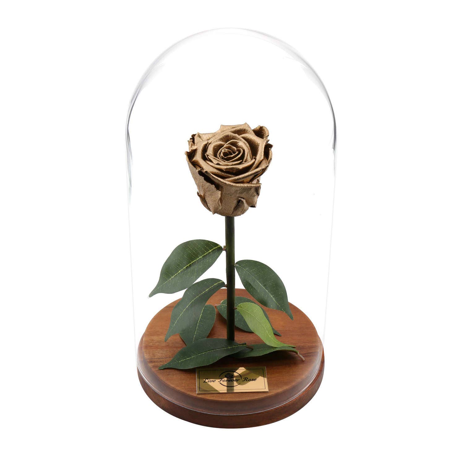 Beauty And The Beast Rose Mothers Day Gift Live Forever Rose Etsy Hong Kong