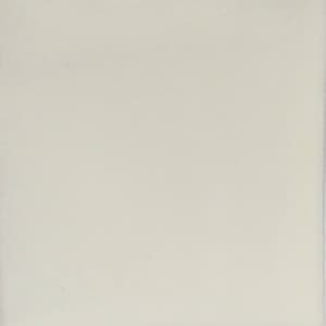 May include: A blank white page with a slightly off-white border.