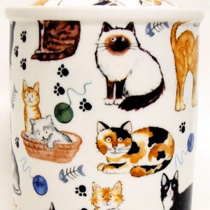 Cats Canister Fine Bone China Haustiere Kätzchen Aufbewahrungsglas mit Dichtung Hand verziert in Großbritannien