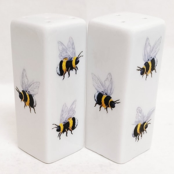 Bees Salt and Pepper Set Ceramic Porcelain Rectangular Square Bumblebee Cruet Set Hand Decorated in UK