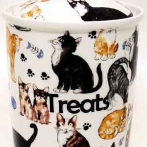 Cats Treats Canister Fine Bone China Pets Kittens Storage Jar with Seal Hand Decorated in UK