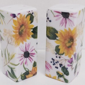 Sunflowers Meadow Salt & Pepper Rectangular Set Ceramic Porcelain Multi Floral Pots Hand Decorated UK