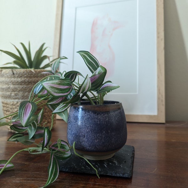 Ceramic Plant Pot Etsy