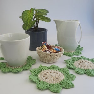 Succulent Coasters in a Basket, Coasters and Pot, Crochet Coasters Succulent Gifts