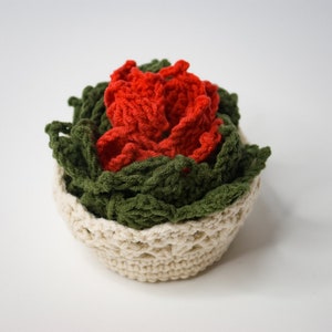 Succulent Coasters in a Basket, Coasters Set of 4 and Pot, Crochet Coasters Succulent Gifts, Coasters for Cups, Home Decor, Kitchen Decor