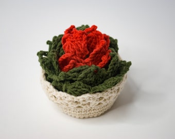 Succulent Coasters in a Basket, Coasters Set of 4 and Pot, Crochet Coasters Succulent Gifts, Coasters for Cups, Home Decor, Kitchen Decor