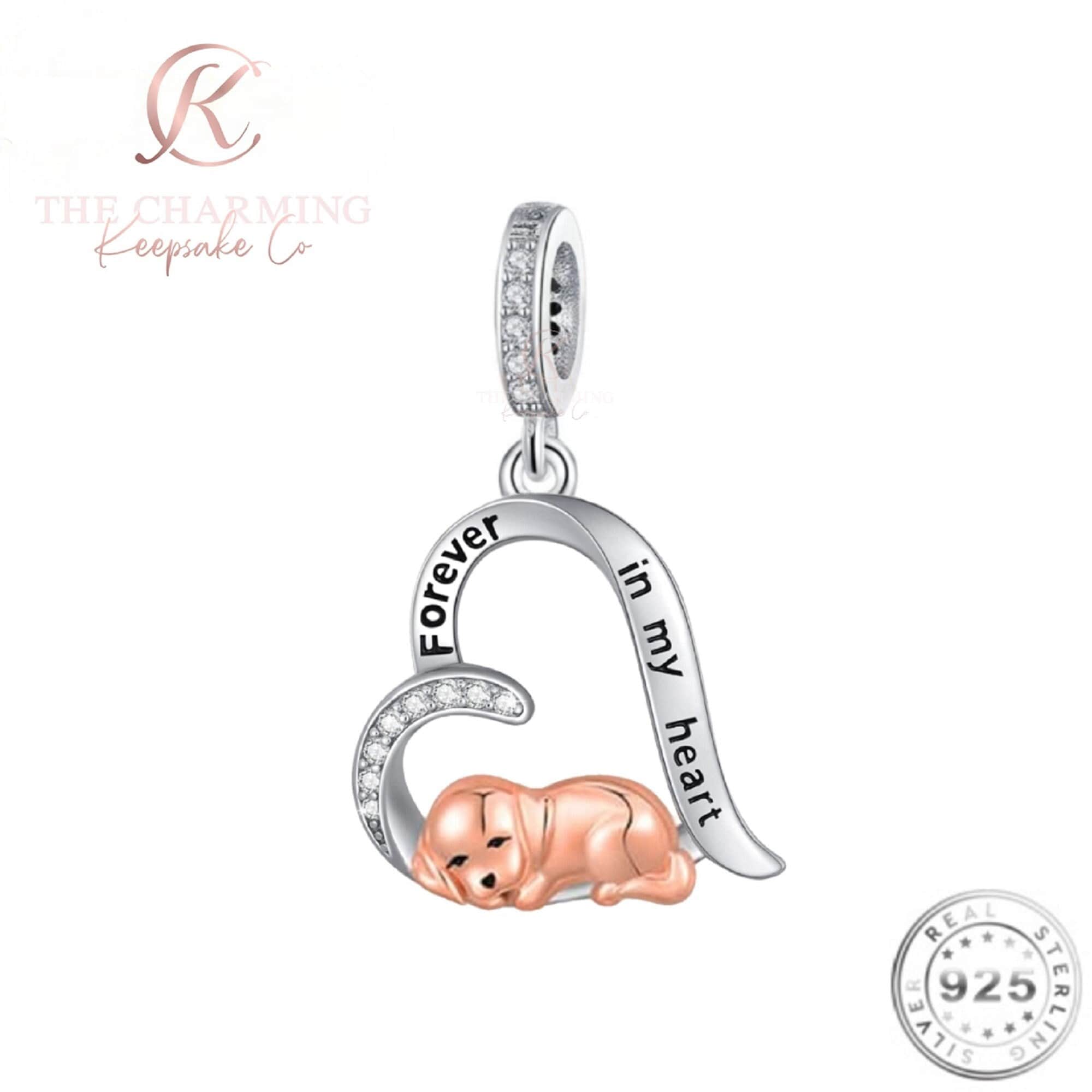 Chamilia Paw Print Etsy