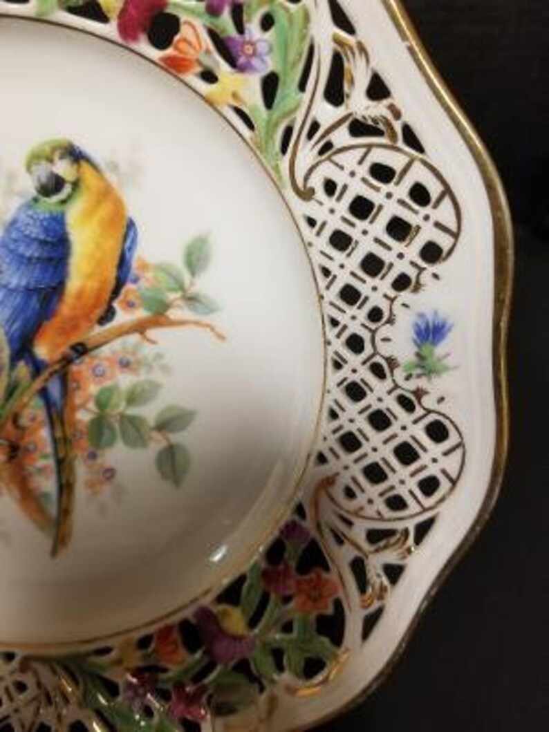 7.5 Parrots and Flowers Schumann Reticulated Plate