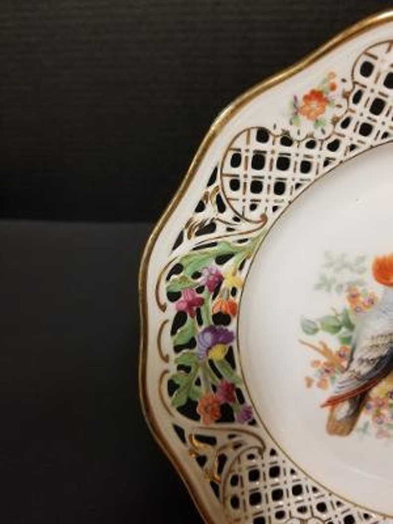 7.5 Parrots and Flowers Schumann Reticulated Plate