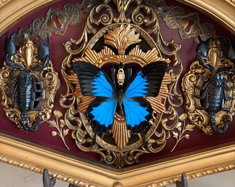 Caixa de sombra em formato de leque na cor bordô com borboleta Ulisses e escorpiões.