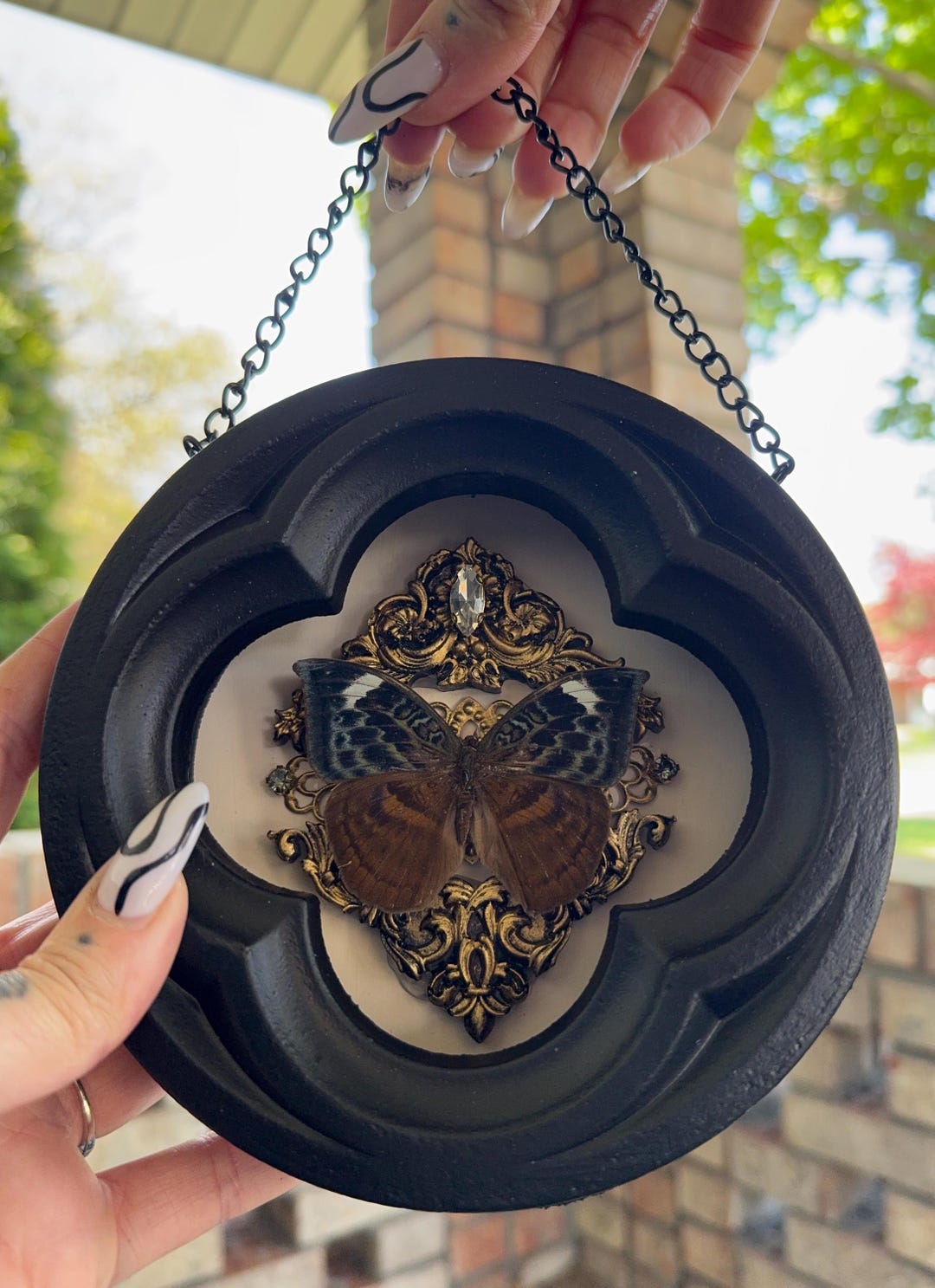 Butterfly in Gothic Black Round Shadowbox Hanger Frame - Etsy