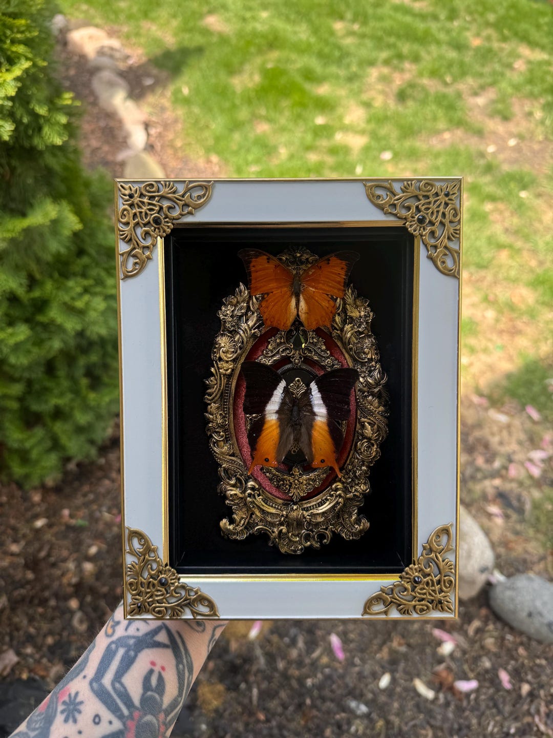 Double Orange Butterfly Shadowbox Frame - Etsy