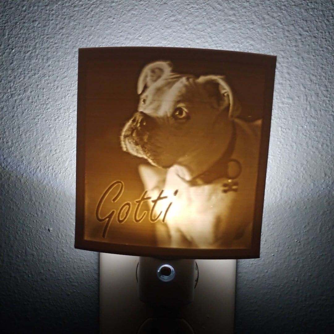 Personalized Lithophane Night Light, Pet Memorial Light, Nursery Night Light, Custom Night Light