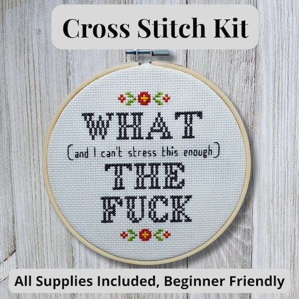 Funny Cross Stitch Kit, WTF Sarcastic Embroidery, DIY Craft Kit